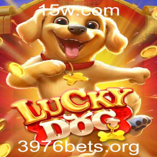 Desvendando LuckyDog: O Jogo que Conquista Multidões com 3976 Apostas Diárias
