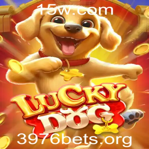 Desvendando LuckyDog: O Jogo que Conquista Multidões com 3976 Apostas Diárias